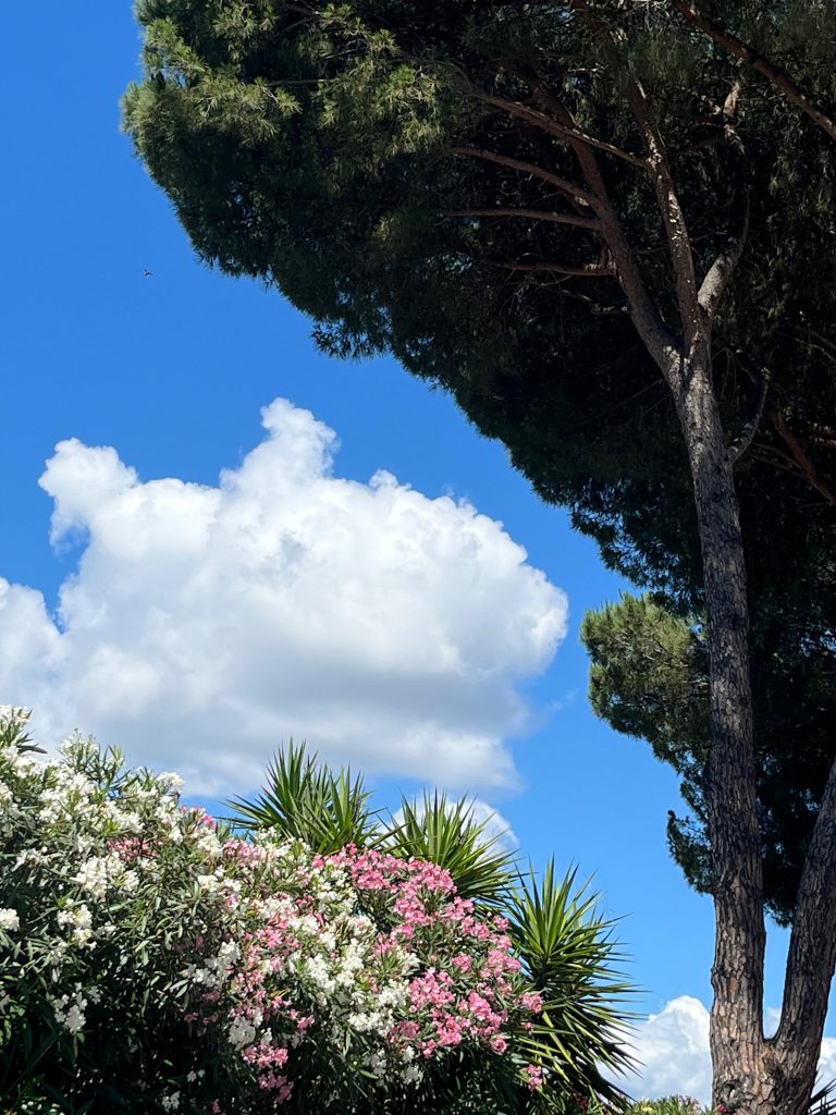 Torre Antica Suite Alloggio turistico e casa vacanze