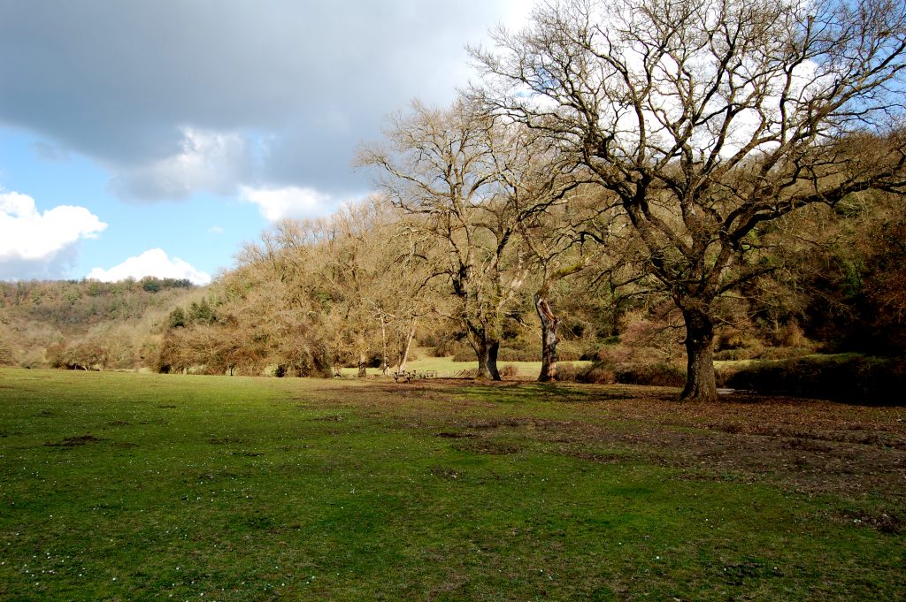 Valle del Sorbo